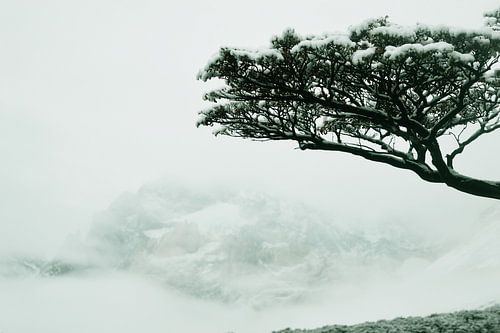 Opdoemend berglandschap in de mist in Torres del Paine, Chili