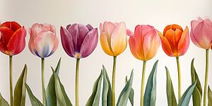 Tulpen in Pastell