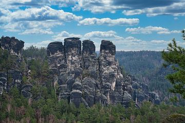 Rotsen in het Elbezandsteengebergte bij de Bastei van Martin Köbsch