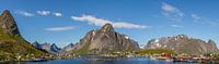 Panoramafoto van Reine, Lofoten, Noorwegen van Dirk Jan Kralt thumbnail