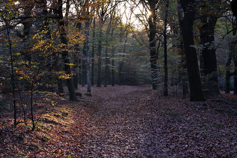 Herbst. von PEEQ.