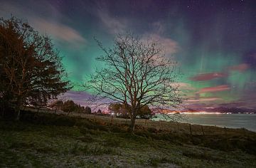 Winter landschap met noorderlicht op Godøy, Ålesund, Noorwegen van qtx