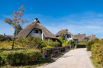 Thatched houses with blue sky in Ahrenshoop, Germany by Rico Ködder