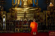 In het gouden licht van verlichting - stille contemplatie voor Boeddha van Walter G. Allgöwer thumbnail