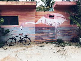 Pink flamingo wall by N Van Dijk