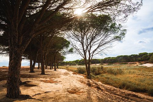 Strand in Sardinië | Italië