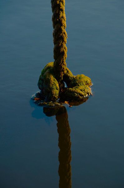 Corde dans l'eau par Franklin Smit