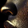 Golden Closeup van Walljar