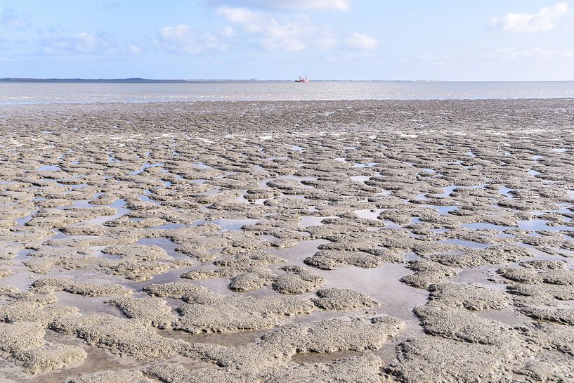 Ameland von Hermineke Pijls