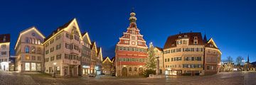Esslingen Rathaus & Marktplatz van Keith Wilson Photography