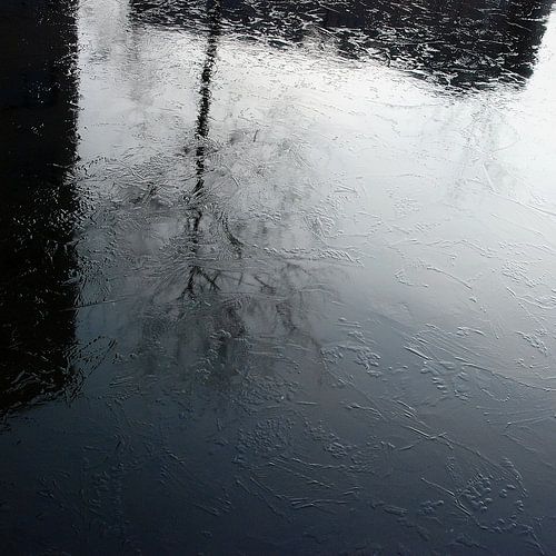 Stadse boom reflectie in bevroren water