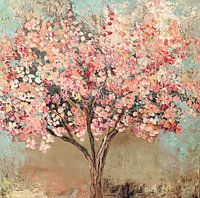 spring! ( blossoming tree)