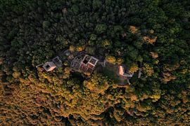 Ruines du château dans la forêt automnale vues du ciel sur Ewold Kooistra