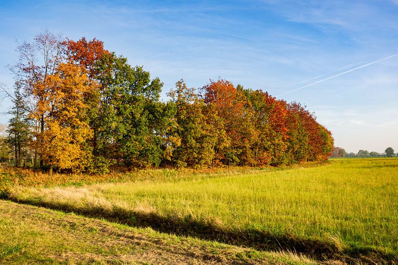 De Regge omzoomd door de herfst van Helga Blanke
