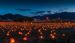 Fallen lanterns panorama