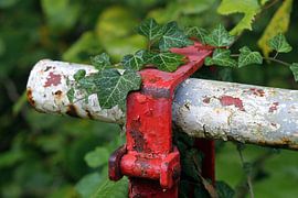 alte Schranke von Norman Krauß