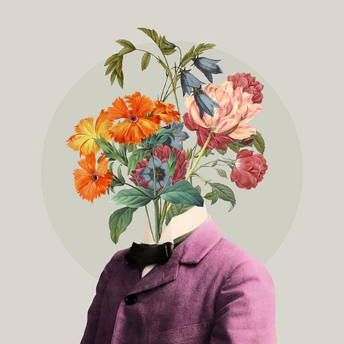 Attracting Butterflies