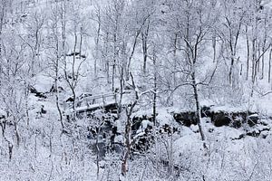 Forêt enneigée avec petit pont sur la rivière (Senja) sur Karla Leeftink