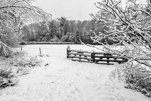 Schneelandschaft