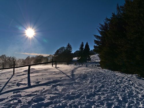 Snow flurries on the Schauinsland