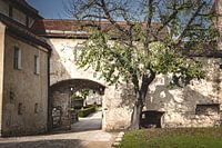 Château de Burghausen