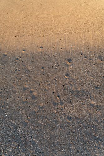 Sporen op het zandstrand 2