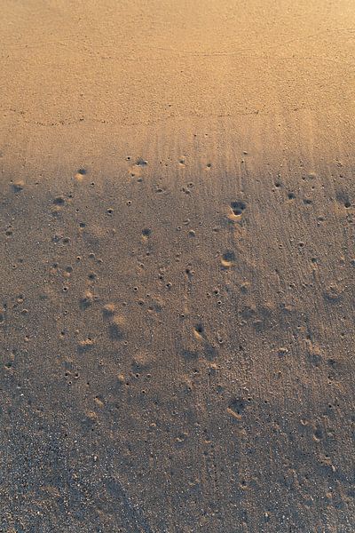 Traces on the sandy beach 2 by Adriana Mueller