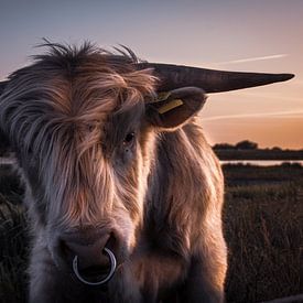 Portrait of a Scottish Highlander by Marinus Engbers