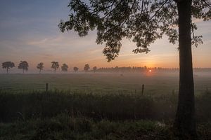 Lever du soleil sur Moetwil en van Dijk - Fotografie