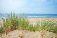 Uitzicht vanaf de duinen op het Noordzee strand van Sjoerd van der Wal Fotografie thumbnail
