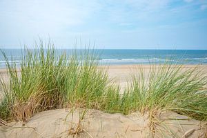 Vue depuis les dunes sur la plage de sable de la mer du Nord sur Sjoerd van der Wal Photographie