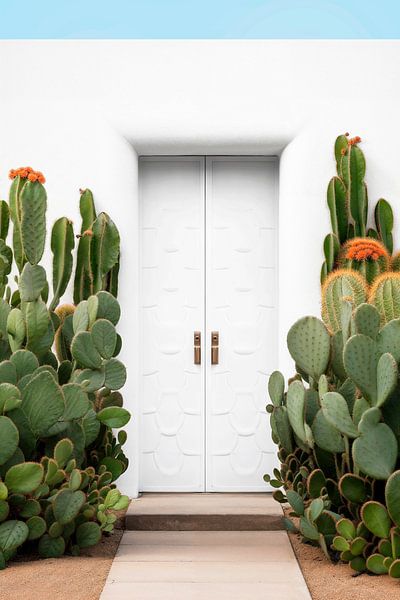 Blancheur de Palm Springs par Philippe HUGONNARD