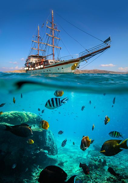 Segeltörn im Sommer mit Blick in die Unterwasser-Welt von Raphael Koch