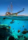 Zomerse zeiltocht met zicht op de onderwaterwereld van Raphael Koch thumbnail
