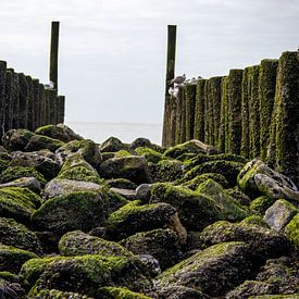 Die Steine am Meer ! von Dylano Photography