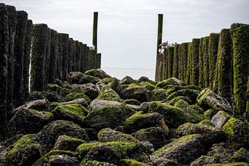 De stenen aan zee ! van Dylano Schaefer