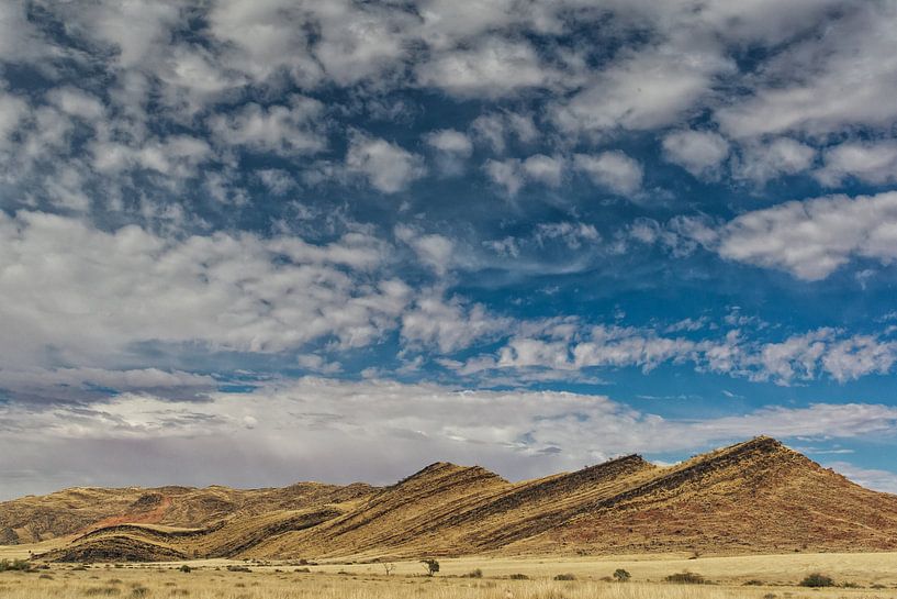 langs de weg in namibië van Ed Dorrestein
