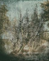 To everything there is a season