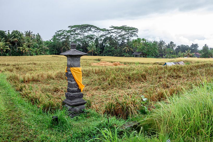 Altaar tussen de velden in Bali van Mickéle Godderis