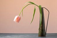 Stilleven tulp in vaas van Photography art by Sacha thumbnail