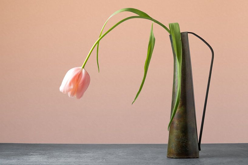 Stilleven tulp in vaas van Photography art by Sacha