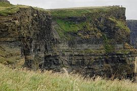 Cliff's of Moher - Irland