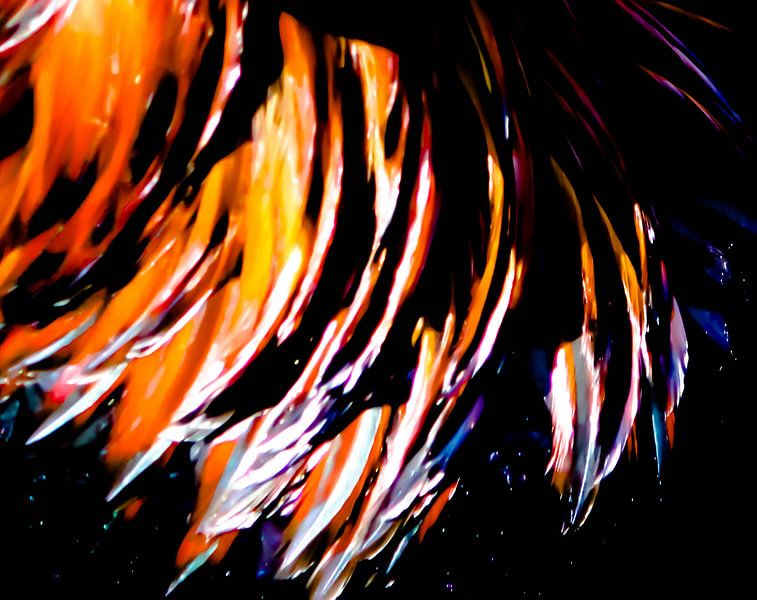 Feathers II by lieve velle