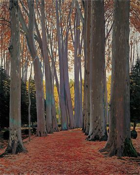 Santiago Rusiñol-Allee oder Planetenbäume