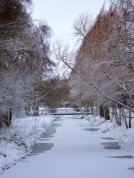 Snow scene by Monique Verlouw