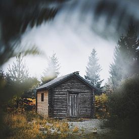 Cabin in the woods by Bryan Venken