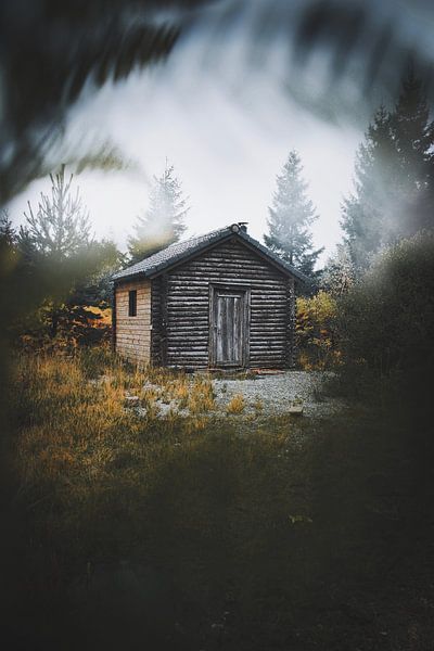 Cabin in the woods by Bryan Venken