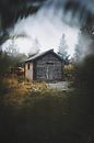 Cabin in the woods by Bryan Venken thumbnail