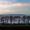 Evening Light by jan van de ven
