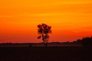 Abend rot im Herbst